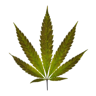 Dry Herb Vaporizers | Medical Marijuana Vaporizers, THC/CBD